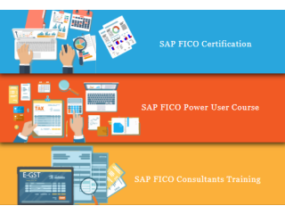 SAP FICO Training in Sarojini Nagar, Delhi, Noida, Gurgaon, Free SAP Server Access, Free Demo Classes, Free Job Placement, Navratri Offer '23,