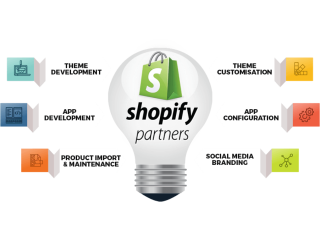 Shopify web developer