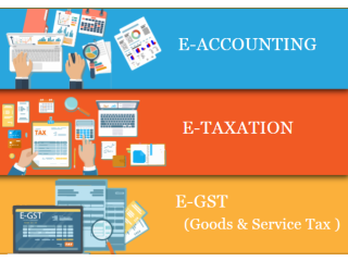 Accounting Course in Delhi, with Free SAP Finance FICO