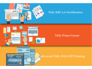 Tally Course in Delhi, 110033, SLA Accounting Institute, Taxation and Tally Prime Institute in Delhi, Noida,