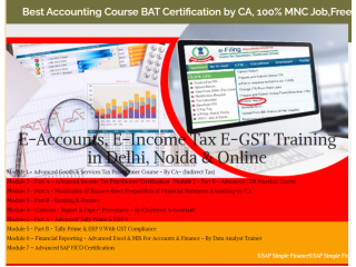 Accounting Course in Delhi, 110032, SLA Accounting Institute, SAP FICO and Tally Prime Institute in Delhi, Noida,