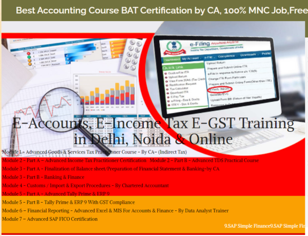 accounting-course-in-delhi-110032-sla-accounting-institute-sap-fico-and-tally-prime-institute-in-delhi-noida-big-0