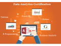 best-data-analyst-course-in-delhi110016-best-online-live-data-analyst-training-in-ghaziabad-by-iit-faculty-100-job-in-mnc-small-0