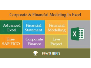 Financial Modelling Course in Delhi.110086. Best Online Live Financial Analyst Training in Ghaziabad by IIT Faculty , [ 100% Job in MNC]