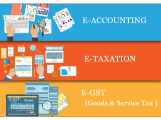 Accounting Course in Delhi, 110050, SLA Accounting Institute,