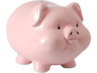 Short Term Loans Online Application Process without Check