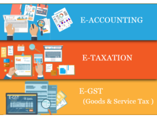 Remote Work & Global Opportunities: Why Accounting is a Smart Choice in 2025, 100% Job, Best Accounting Course in Delhi,