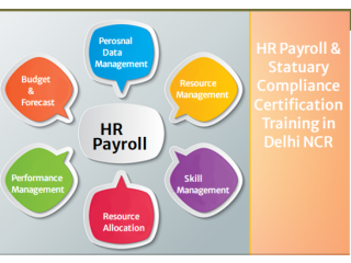 HR Training Course in Delhi,110041 , With Free SAP HCM HR Certification by SLA Consultants Institute in Delhi, NCR, HR Analyst Certification