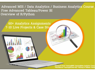 Job Ready MIS Course in Delhi, Limited Period Offer "Free Power BI"