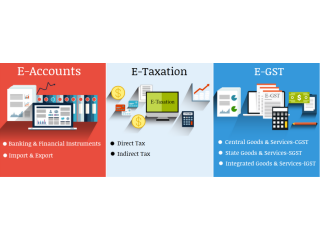 Job Oriented Accounting Course in Delhi, GST and Income Tax Course in Delhi, 100% Job Guarantee, Free SAP HANA Finance Course,