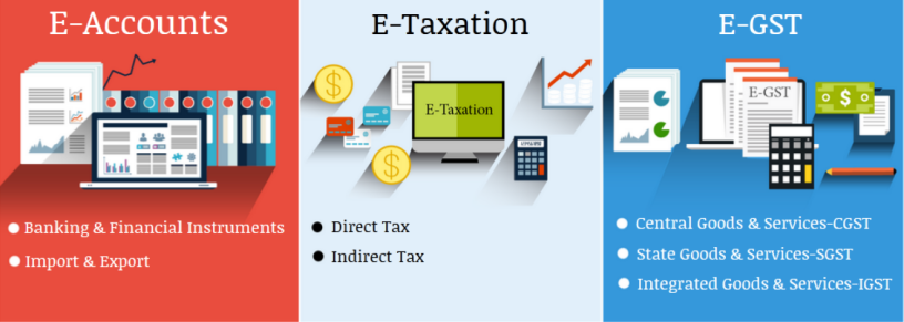 accounting-course-with-placement-in-delhi-advanced-gst-and-custom-course-in-delhi-100-job-guarantee-course-by-sla-consultants-big-0
